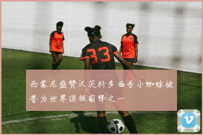 西蒙尼盛赞汉茨科多面手小蜘蛛被誉为世界顶级前锋之一