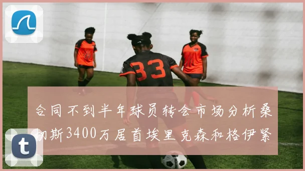 合同不到半年球员转会市场分析桑切斯3400万居首埃里克森和格伊紧随其后