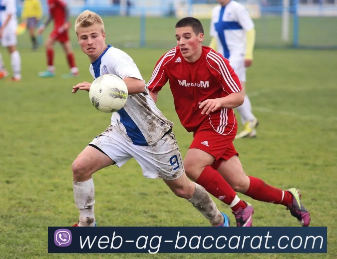 App Interface Preview